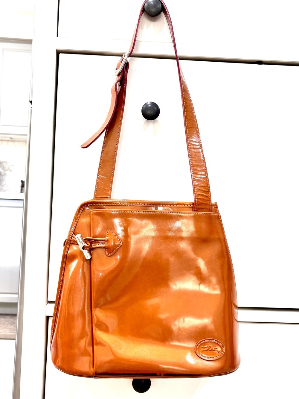 Long champ Roseau bag